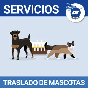Traslado de Mascotas Traslado de Mascotas